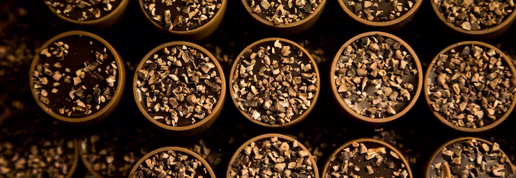 Bombones artesanos de chocolate con crujiente de almendra